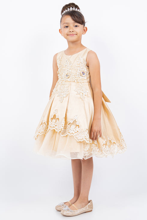 Girls Floral Embroidery Cutout Overlay Flower Girl Dress 2-16